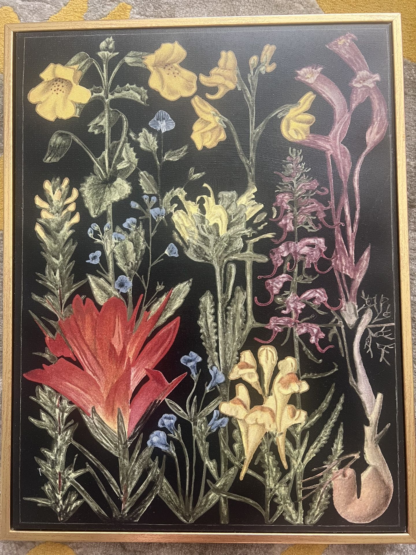 Colleen Karis Designs Botanical Dream Artwork, Black, red, yellow 