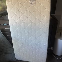 Newton crib mattress