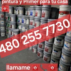 Paint For Sale And Primer