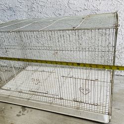 Bird Cage