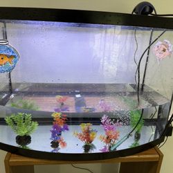 30x20 Inch Fish tank For $50