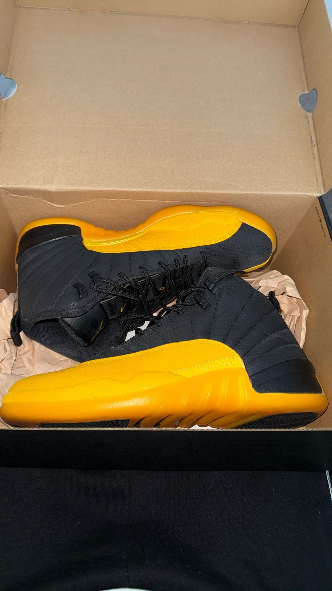 Jordan 12 University Gold Size 11