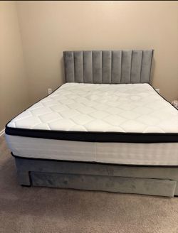 Elegance Frames Are Available Single Full King Queen And Mattresses 