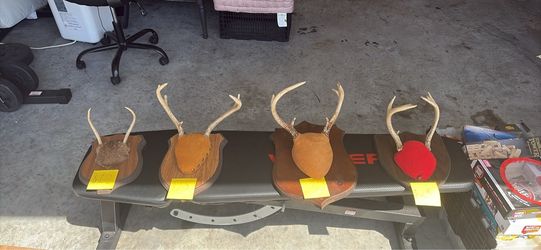 Antler mounts