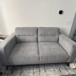 2 Gray Couches 