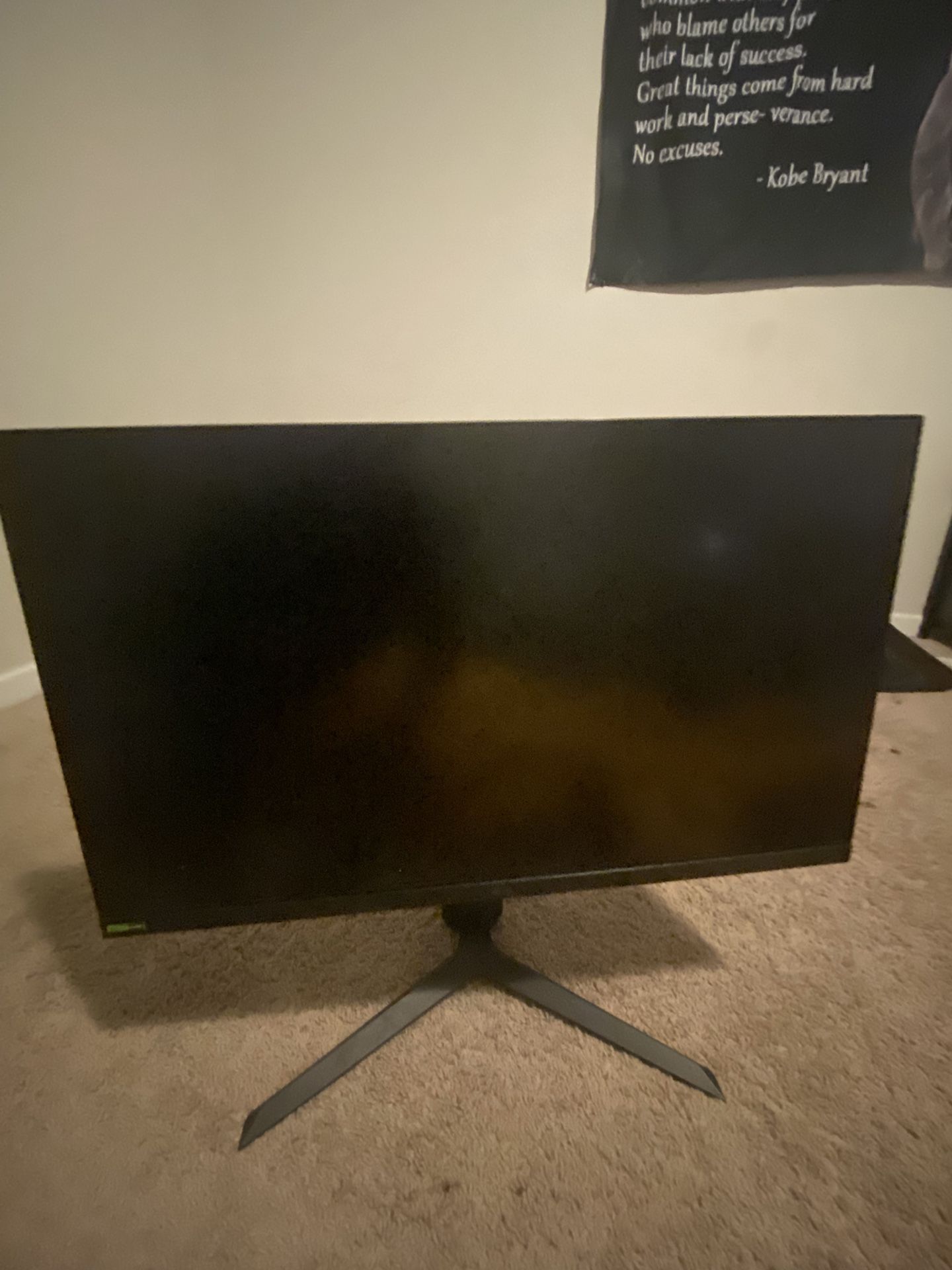 LG Ultragear Monitor