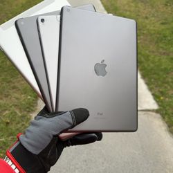 iPads 5 / 6 / 8 / Pro