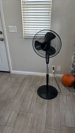 Fan