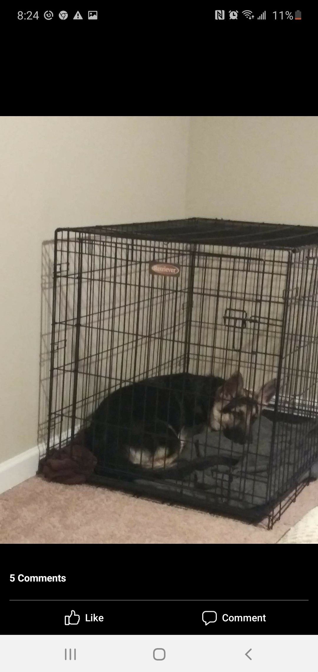 Retriever Dog Crate. DOG NOT INCLUDED