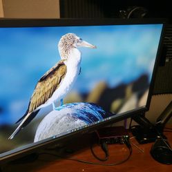 Acer Gaming 4K Monitor 28” 3840 x 2160