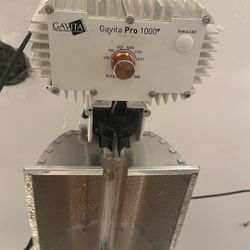 Gavita Pro 1000e