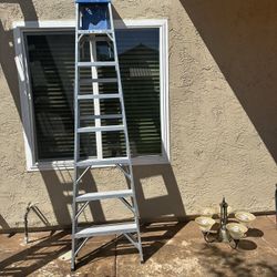 8 Ft Ladder