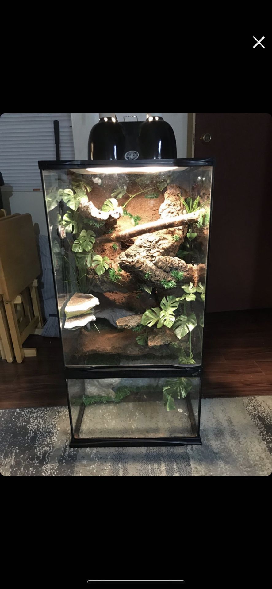 Reptile Enclosure, Setup, Custom Built