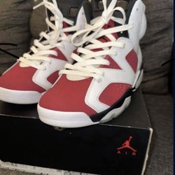 Jordan Carmine 6s 
