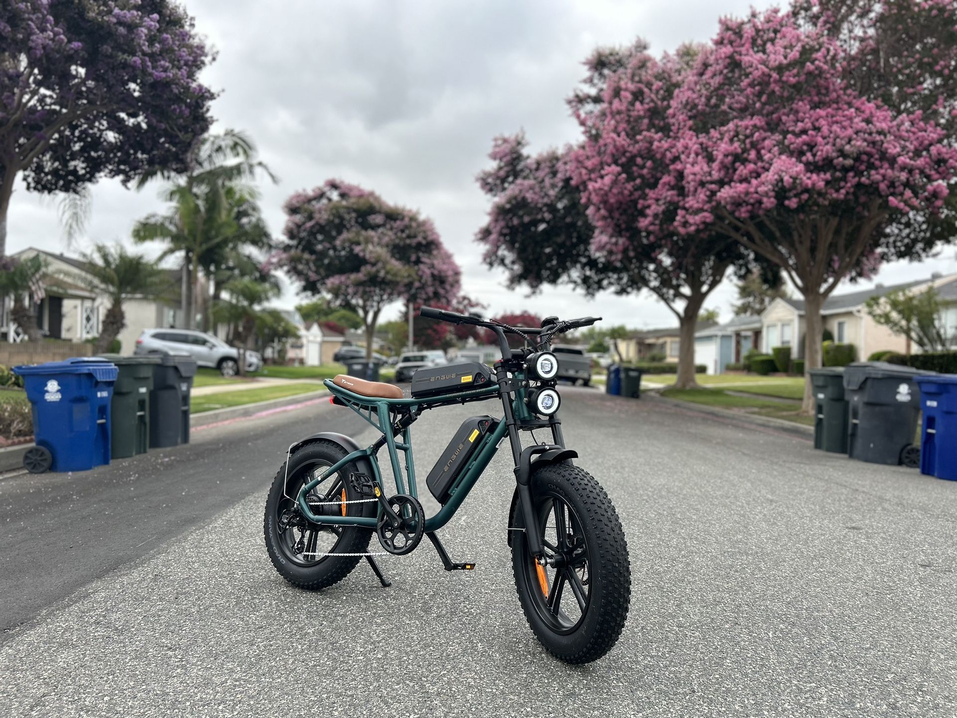 2024 Engwe M20 Ebike DUAL BATTERY 