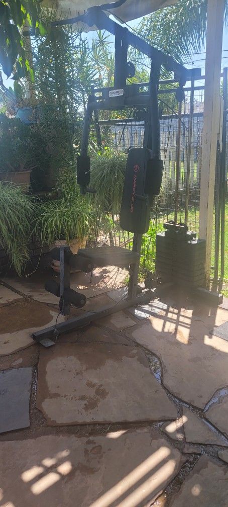 Weight Bench W/Weights