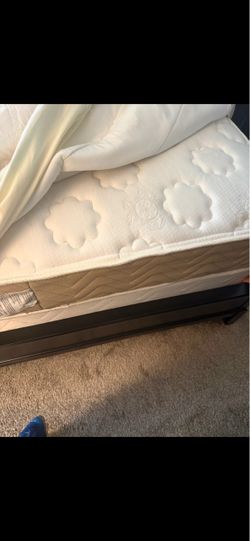 Queen bed with mattress