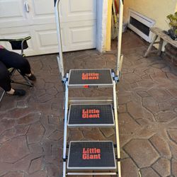 Ladder Little Giant From Uline