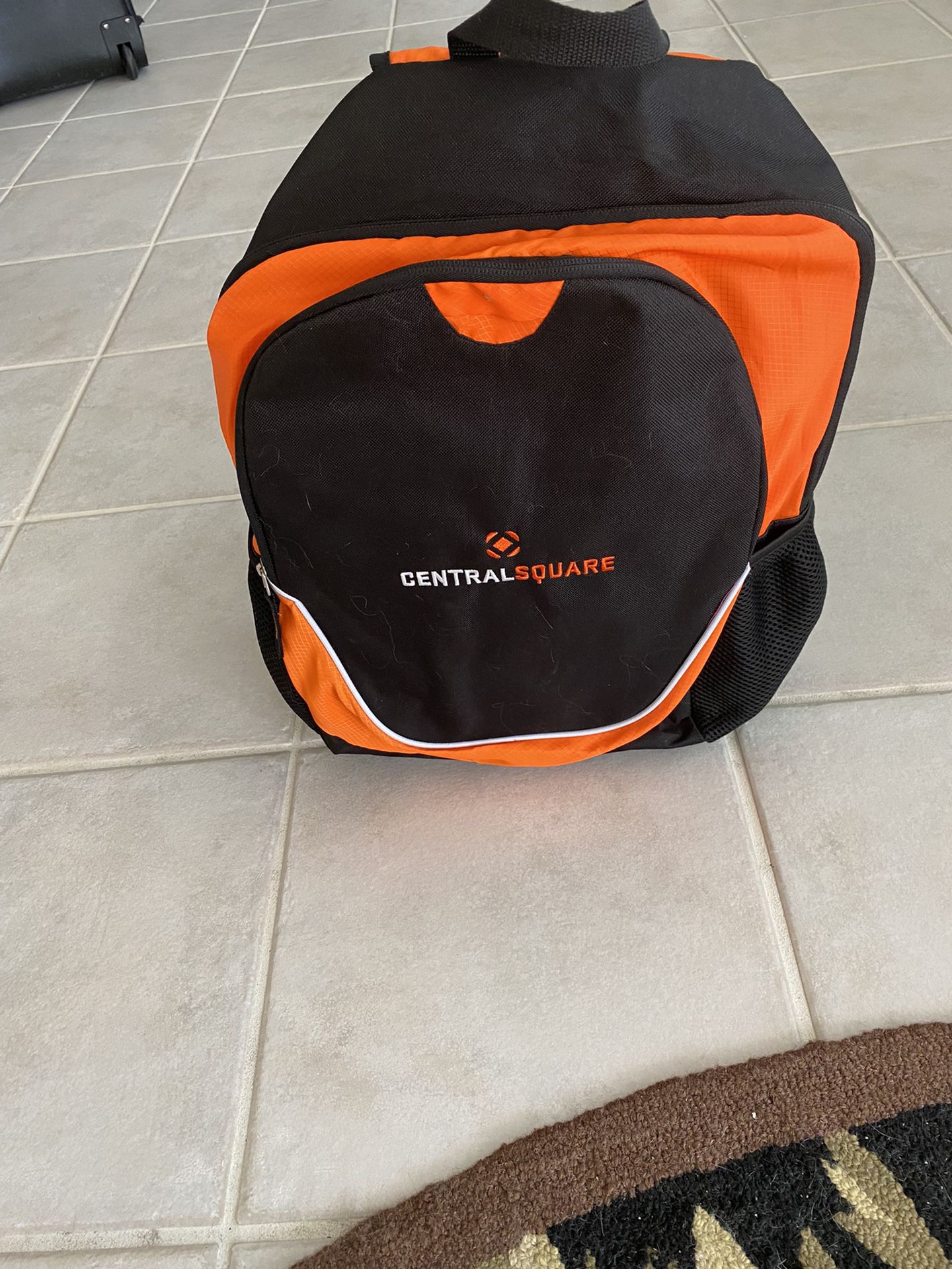 Backpack/laptop Carrier