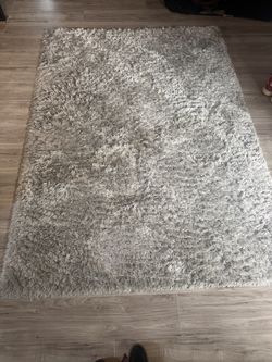 Beautiful fluffy area rug