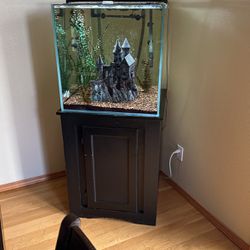 Free Fish Tank Pump And Fish 