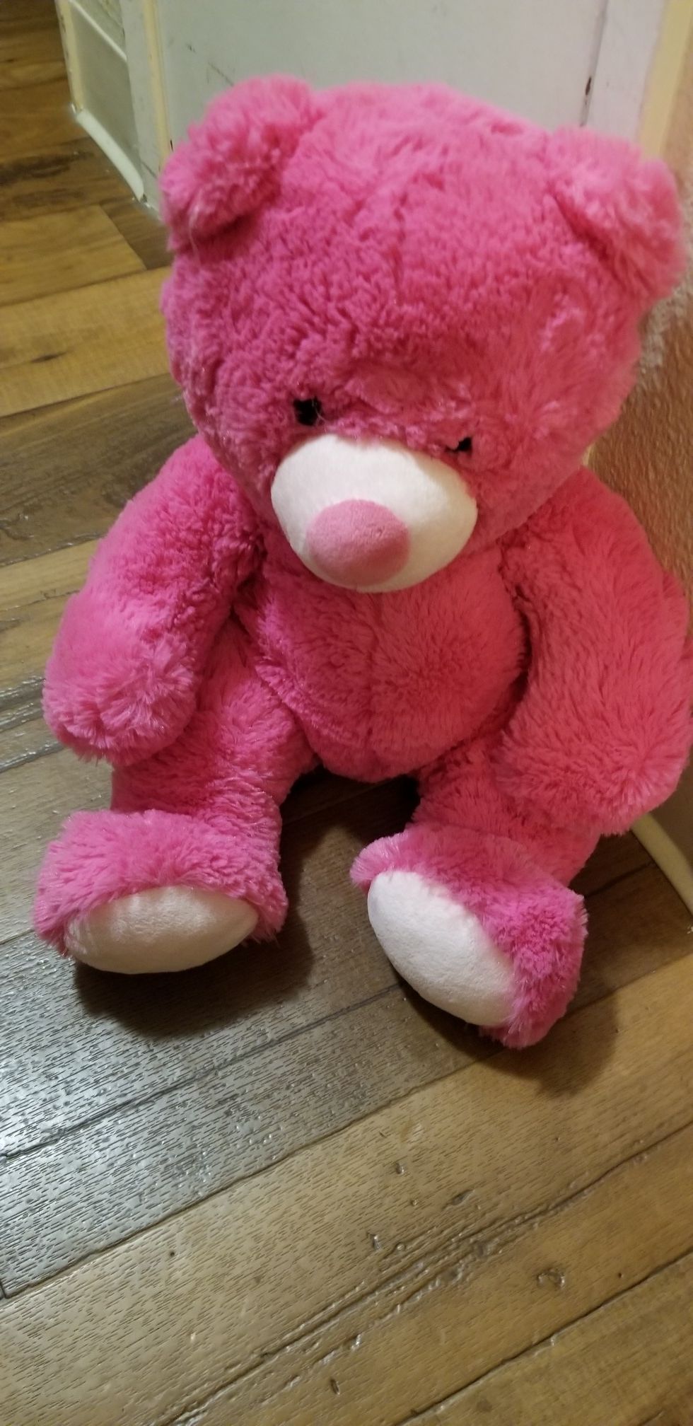 Plush stuffed animal bear
