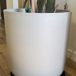 Extra Large White Planter Pot – Modern – $45 