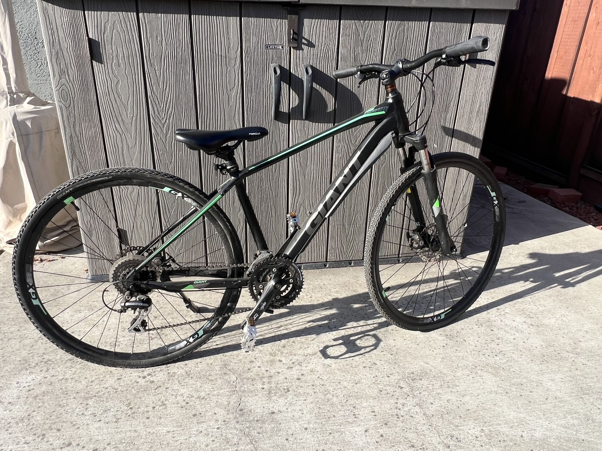 Giant Roam Bike