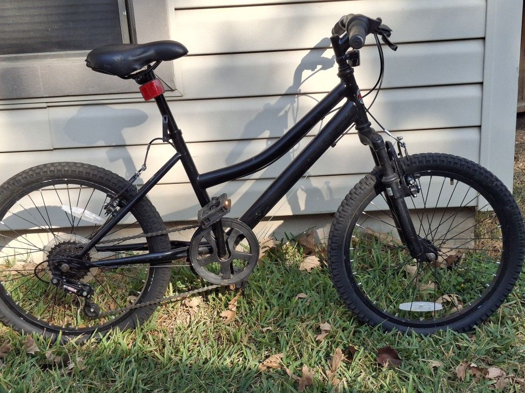 20" BCA bike