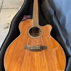 Takamine Electric/accoustic Guitar
