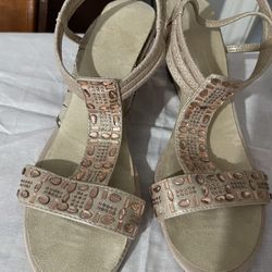 Dressy Bag And Shoes