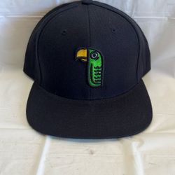 Green Cheek Brewing Snapback Hat