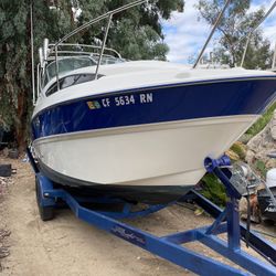 2006 Bay liner 245 Cierra Sun bridge