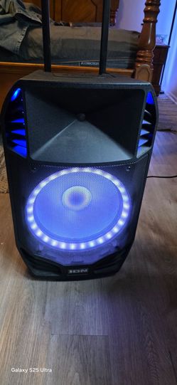 ION Bluetooth speaker