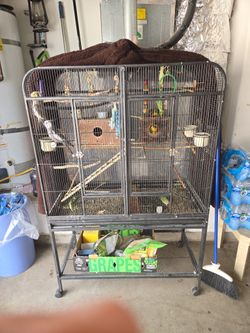 Bird Cage
