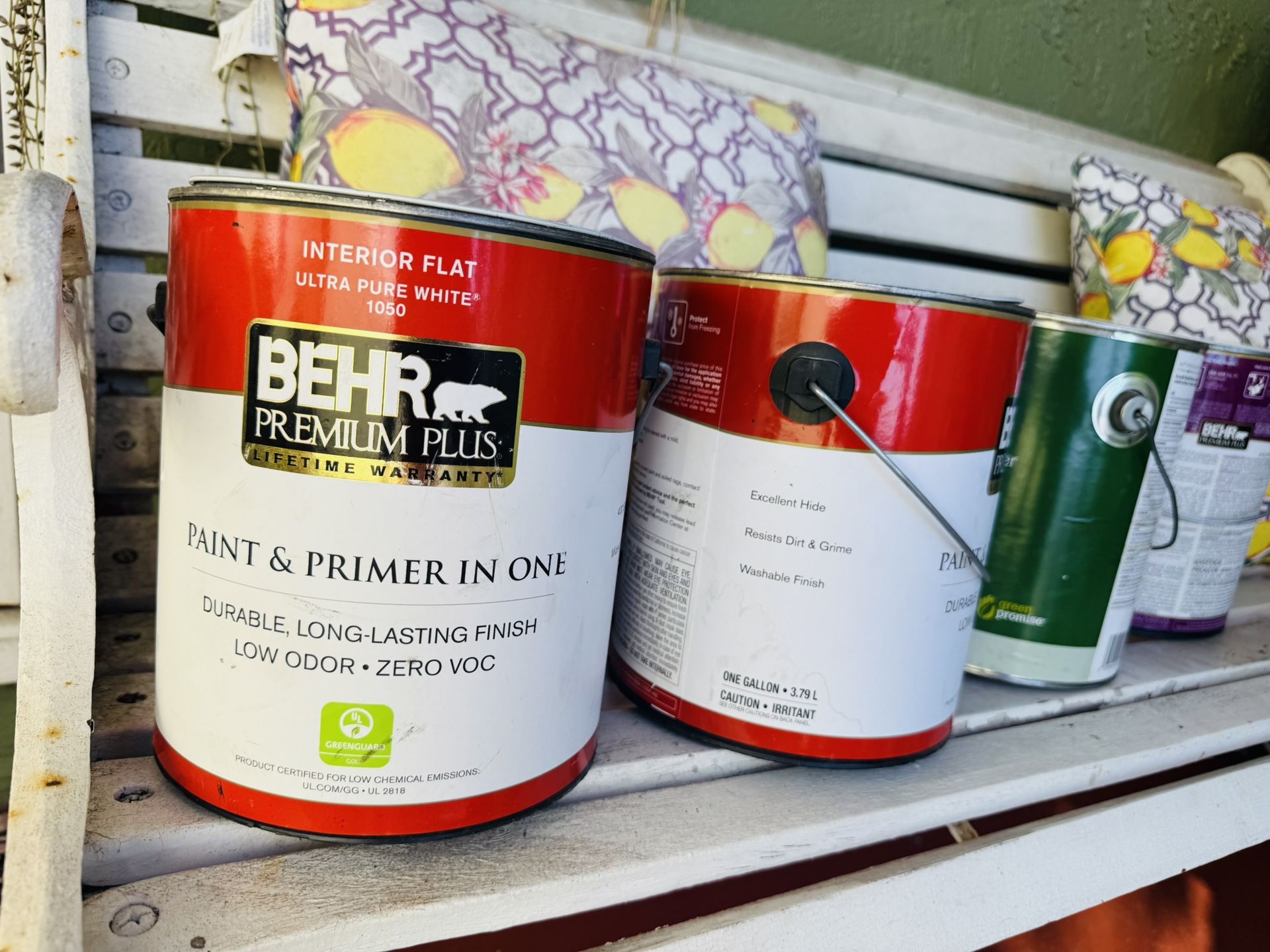 New White Paint 20$ Each Gallon