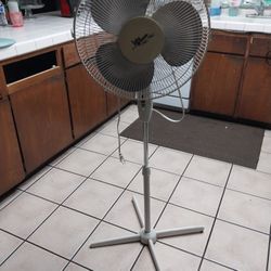 Fan