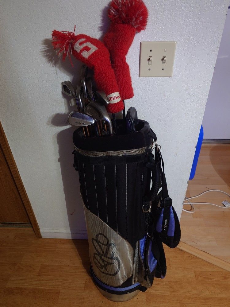 Vintage Golf Club Set With Bag