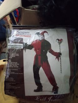 Evi Jester Costume