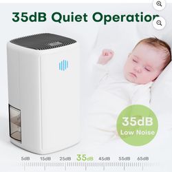 Dehumidifier for Home 