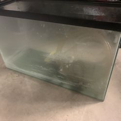2 Aquariums , One Large And One Small With Equipment 