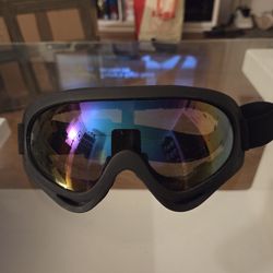 Ski/Snowboarding Goggles