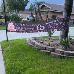 15th Birthday Sign