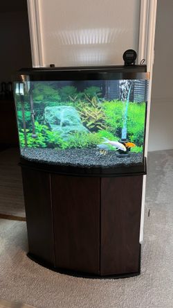 46-Gallon Bowfront Aquarium Complete Setup