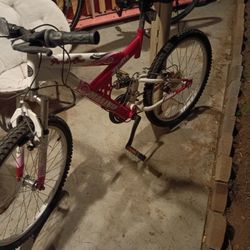 NEXT Power Climber 26" Women's Mountain Bike