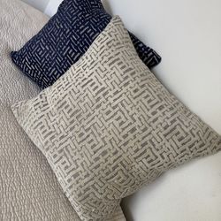 2 Down Throw Pillows