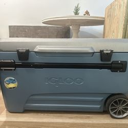 Igloo Cooler - Large
