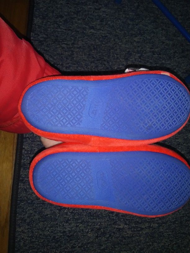 Paw Patrol Slippers