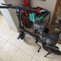 Foldable E Bike 
