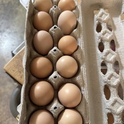 Fresh Eggs